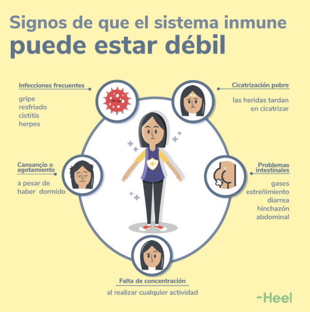 Cómo saber si tus defensas están bajas